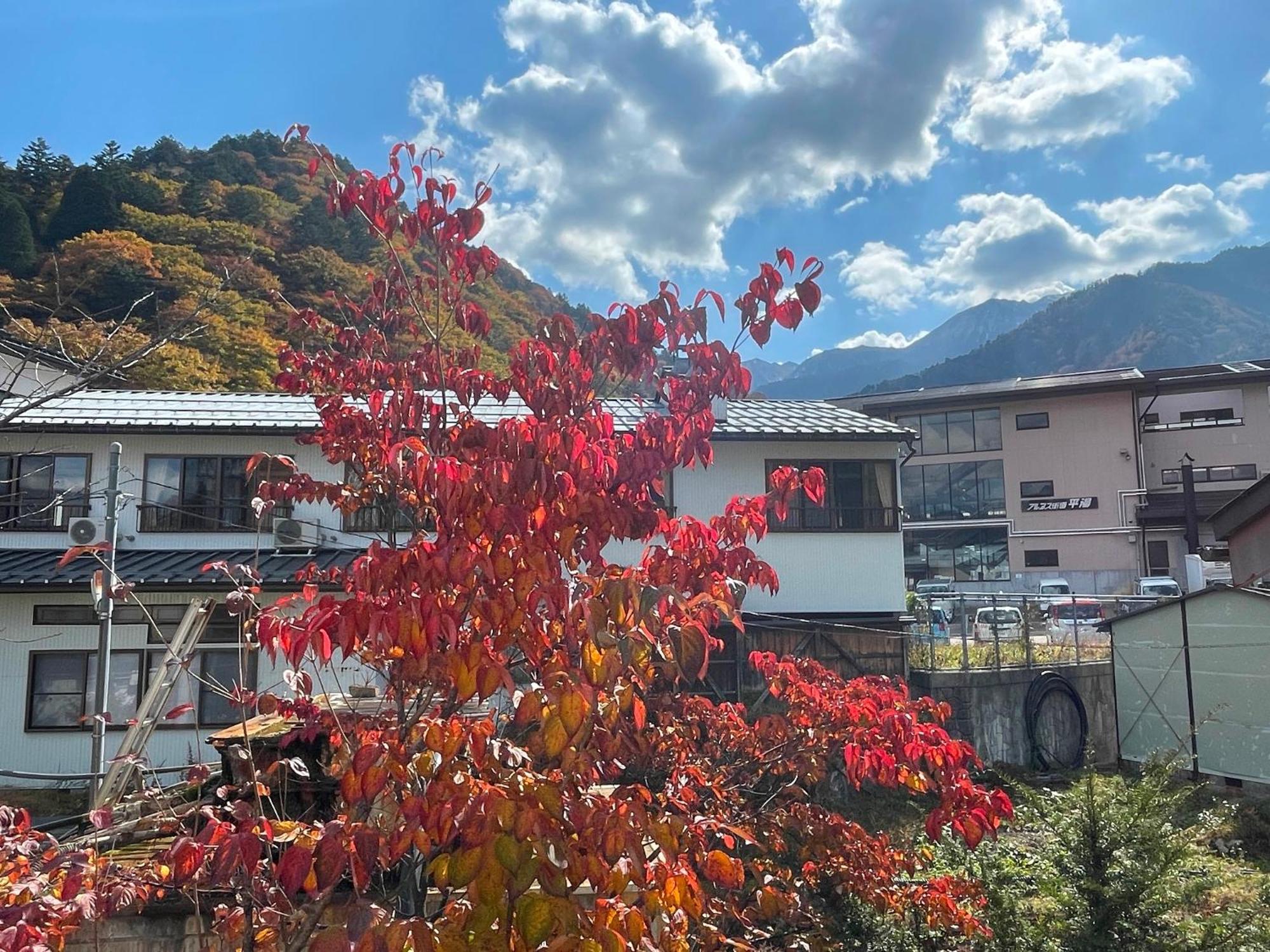 Ryosou Tsuyukusa Takajama Exteriér fotografie